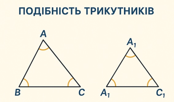 Геометрія 8 клас. Подібність трикутників (Лисова Аліна Олександрівна)