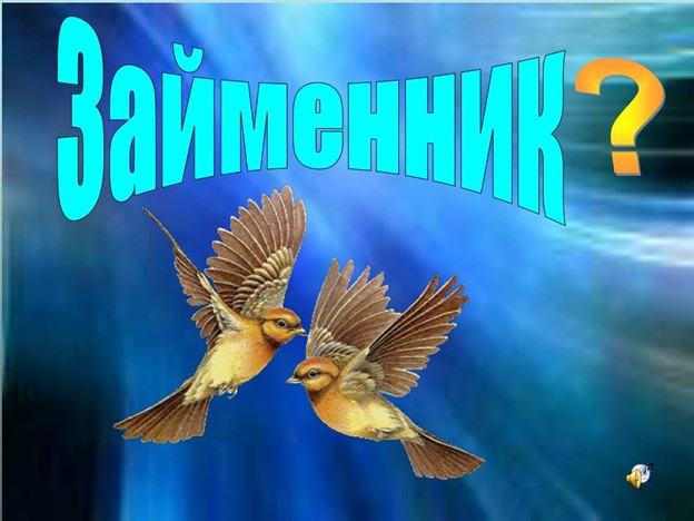 У «Займенник» (Реуцька Олена Іванівна)