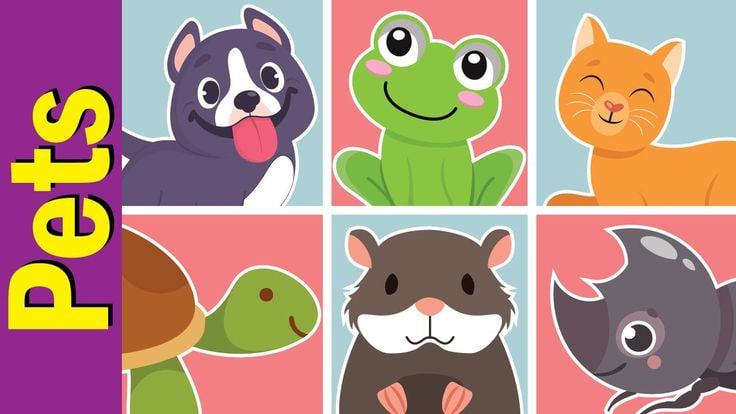 Англійська мова «My pets» («Мої домашні улюбленці»)    (Сосновська Анна Олександрівна)
