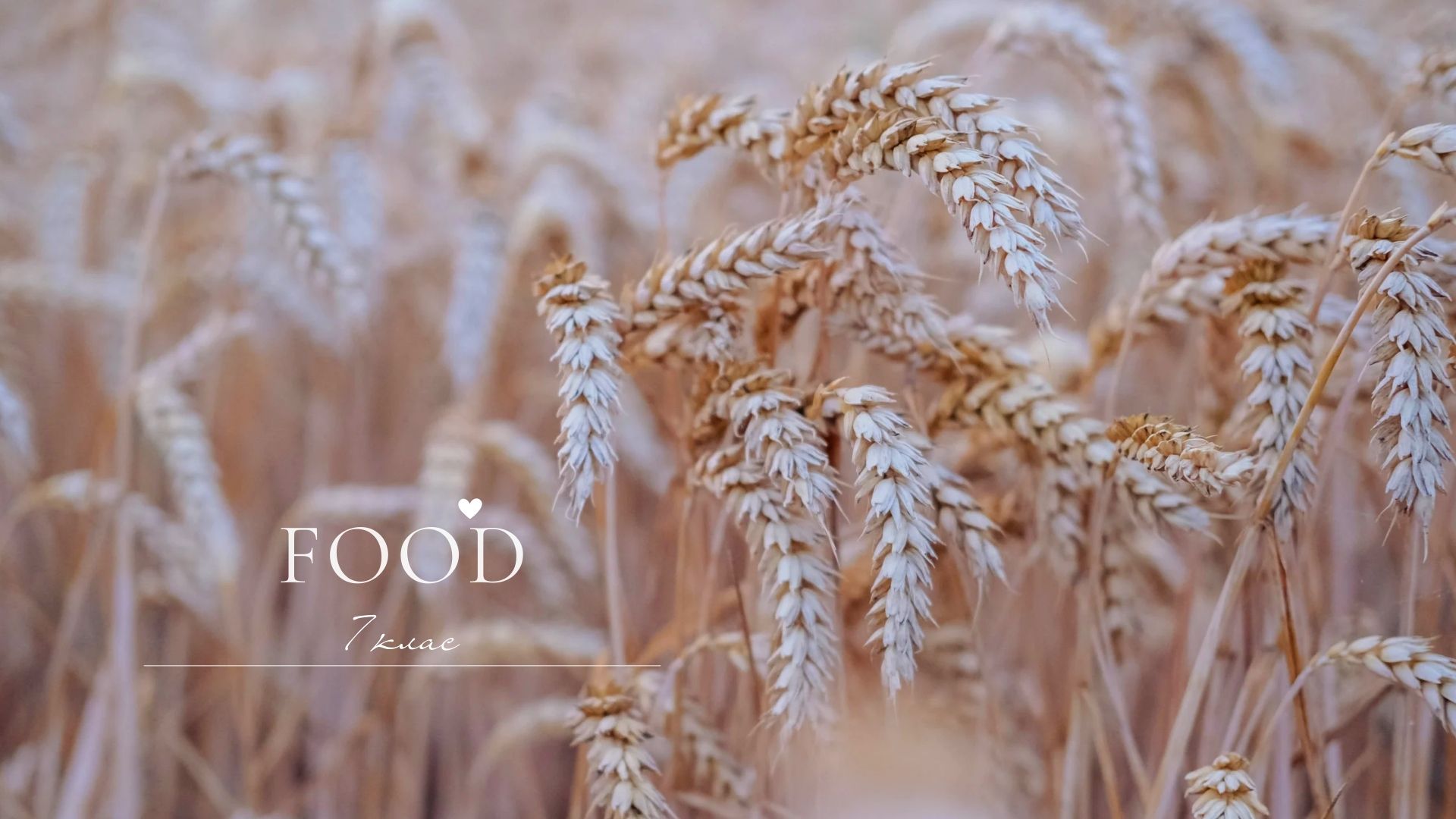 " Food". 7 клас